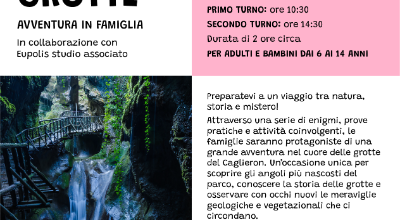 Living Lab Fregona Living Lab Fregona