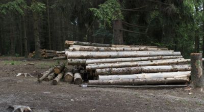logs-g234da337d_1920 logs-g234da337d_1920